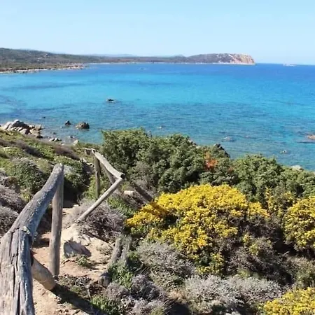 La Tortuga