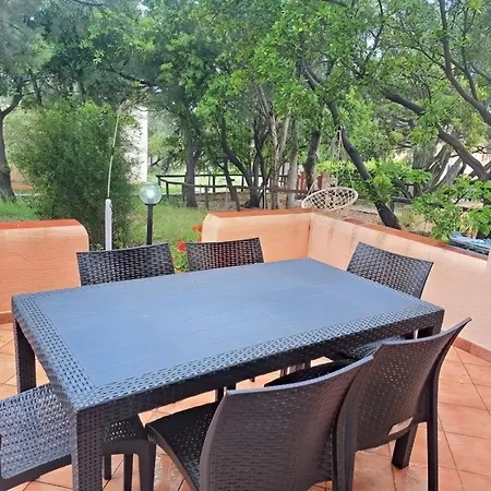 La Tortuga Сasa de vacaciones