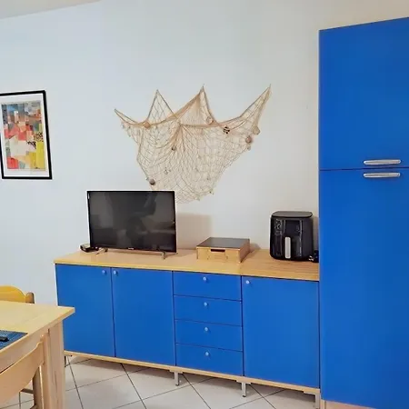 La Tortuga Сasa de vacaciones