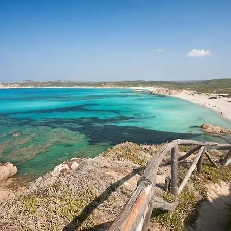 La Tortuga Rena Majore