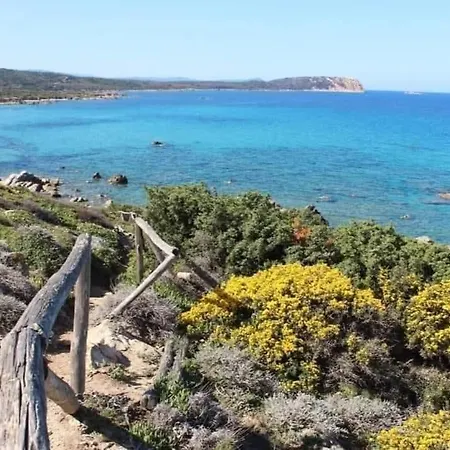 La Tortuga